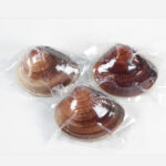 kuwanahamaguriretort10year3