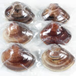 kuwanahamaguriretort10year6