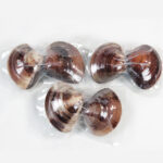 kuwanahamaguriretort5year6