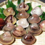 kuwana-hamaguri-3-8year-1kg